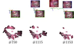 Direct and Sparse Deformable Tracking